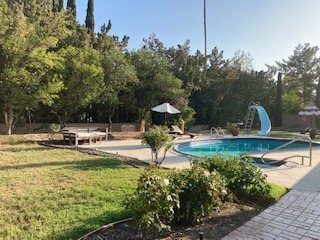 Brick garden path winding through landscaped beds toward pool area under brilliant blue sky
