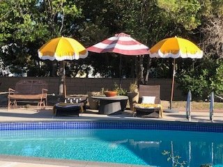 Pool with slide and towering cypress trees in background under blue sky